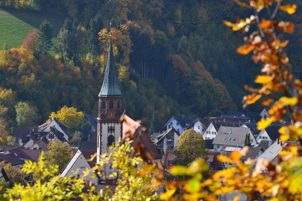 Haus Reichenbach Leilighet Glottertal Eksteriør bilde